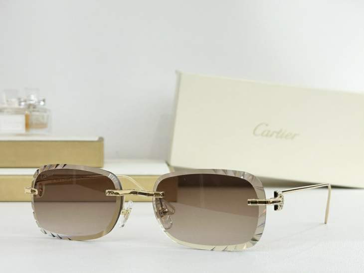 Picture of Cartier Sunglasses _SKUfw77838216fw